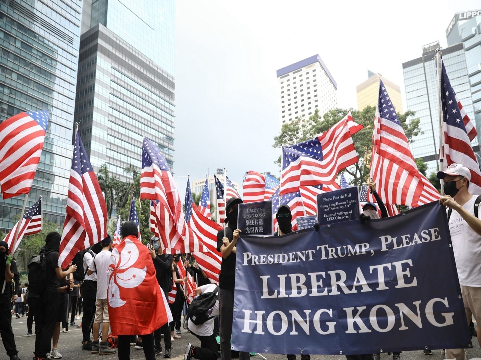 美国青年发公开信 香港示威者挥舞美国国旗无比厌恶 多维新闻 香港